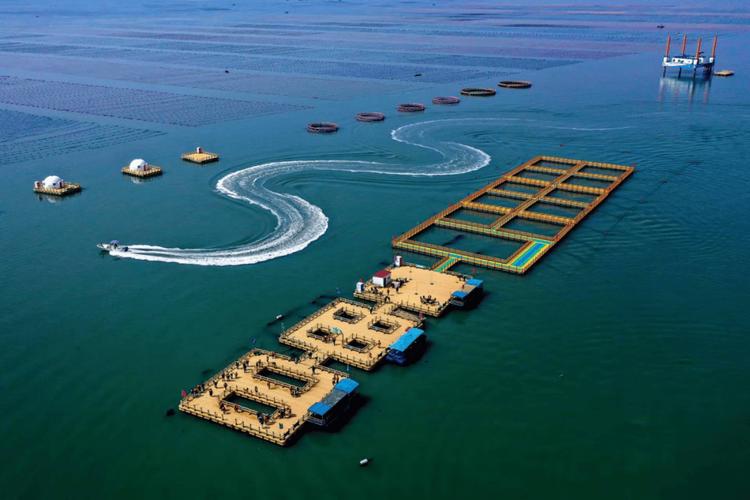 邹平县天气预报，邹平县天气预报24小时？-第5张图片-优品飞百科