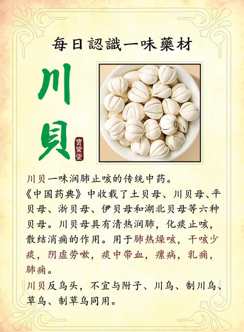 花贝母的观赏价值和药用价值?花贝母的观赏价值和药用价值一样吗?-第4张图片-优品飞百科 花贝母的观赏价值和药用价值?花贝母的观赏价值和药用价值一样吗?-第4张图片-优品飞百科