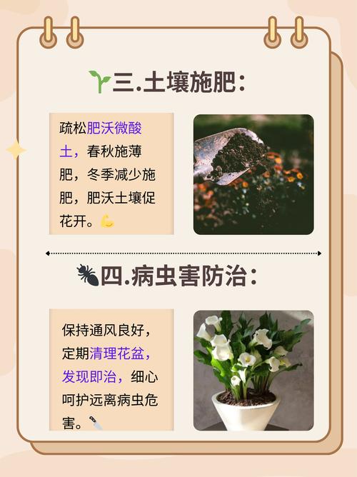 误食马蹄莲怎么办，吃马蹄中毒怎么办-第6张图片-优品飞百科