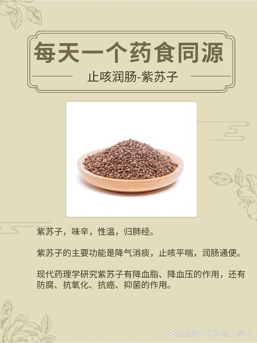 紫苏怎么吃，紫苏子怎么吃，紫苏子怎样食用方法-第1张图片-优品飞百科