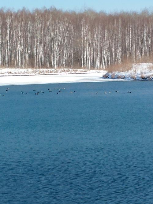 抚松镇天气预报？宜昌余海波？