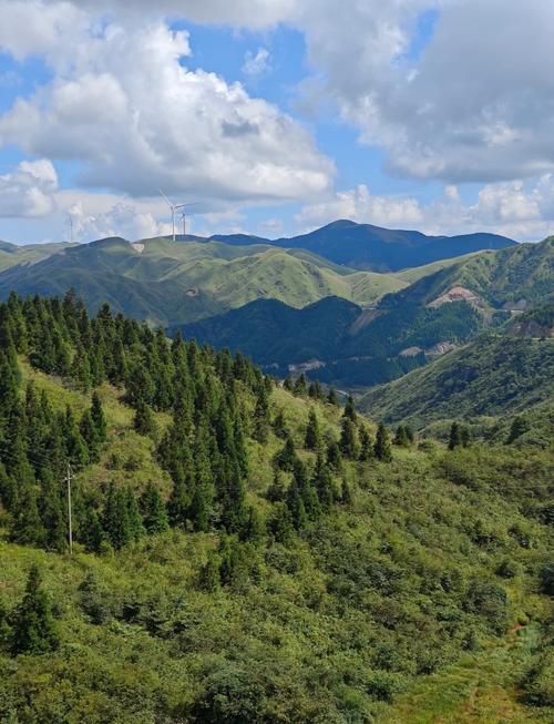 全州天气预报15天，全州天气预报30天气-第2张图片-优品飞百科