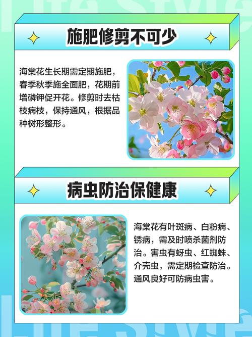 海棠什么时候开花,三亚海棠花开时间?海棠什么时候开花,三亚海棠花开时间是几月?-第2张图片-优品飞百科 海棠什么时候开花,三亚海棠花开时间?海棠什么时候开花,三亚海棠花开时间是几月?-第2张图片-优品飞百科