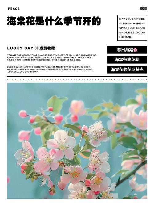 海棠什么时候开花,三亚海棠花开时间?海棠什么时候开花,三亚海棠花开时间是几月?-第6张图片-优品飞百科 海棠什么时候开花,三亚海棠花开时间?海棠什么时候开花,三亚海棠花开时间是几月?-第6张图片-优品飞百科