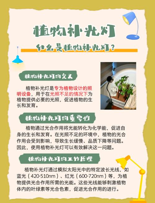 植物补光一般用什么灯,植物补光一般灯可以吗-第4张图片-优品飞百科 植物补光一般用什么灯,植物补光一般灯可以吗-第4张图片-优品飞百科
