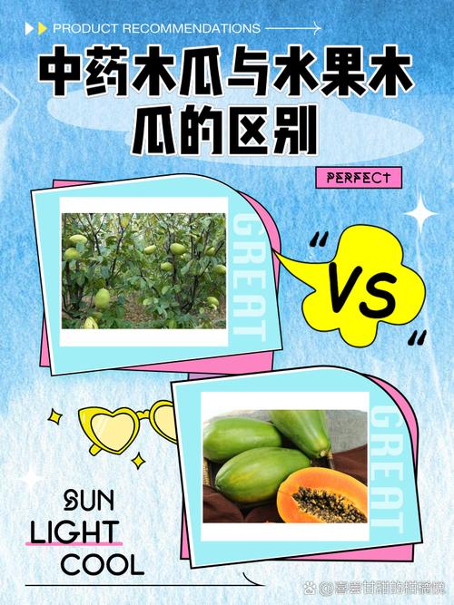 木瓜的功效与作用?木瓜的功效与作用及营养价值?-第2张图片-优品飞百科 木瓜的功效与作用?木瓜的功效与作用及营养价值?-第2张图片-优品飞百科