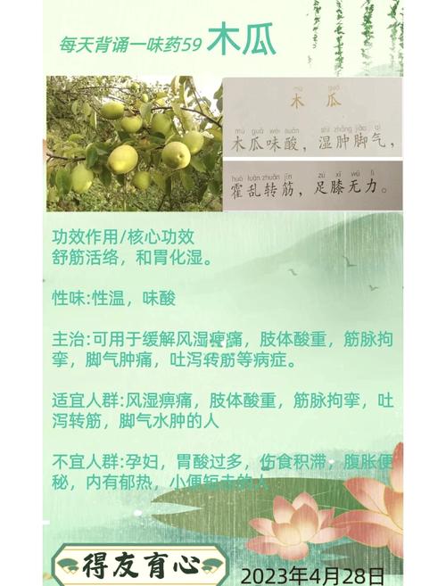 木瓜的功效与作用?木瓜的功效与作用及营养价值?-第3张图片-优品飞百科 木瓜的功效与作用?木瓜的功效与作用及营养价值?-第3张图片-优品飞百科