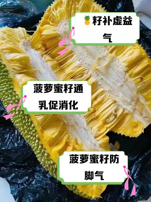 菠萝蜜怎么吃，菠萝蜜怎么吃好吃-第2张图片-优品飞百科