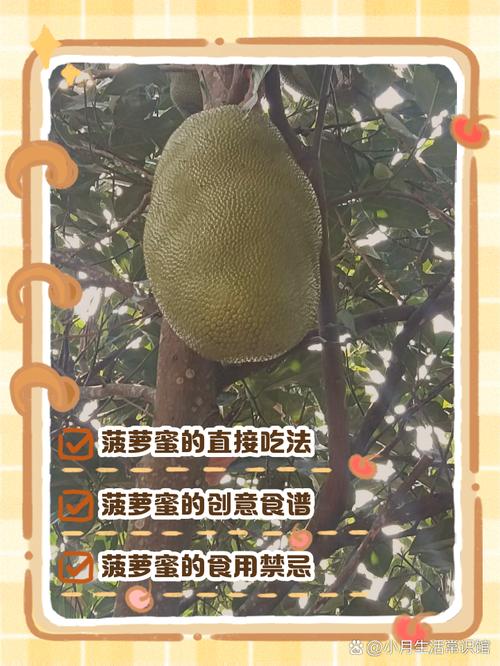 菠萝蜜怎么吃，菠萝蜜怎么吃好吃-第4张图片-优品飞百科