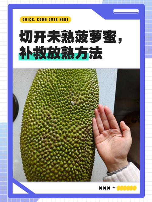 菠萝蜜怎么吃，菠萝蜜怎么吃好吃-第5张图片-优品飞百科