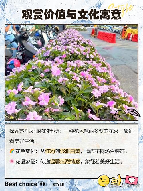 苏丹凤仙花的养殖方法？苏丹凤仙花有毒吗可不可以养在室内？-第1张图片-优品飞百科