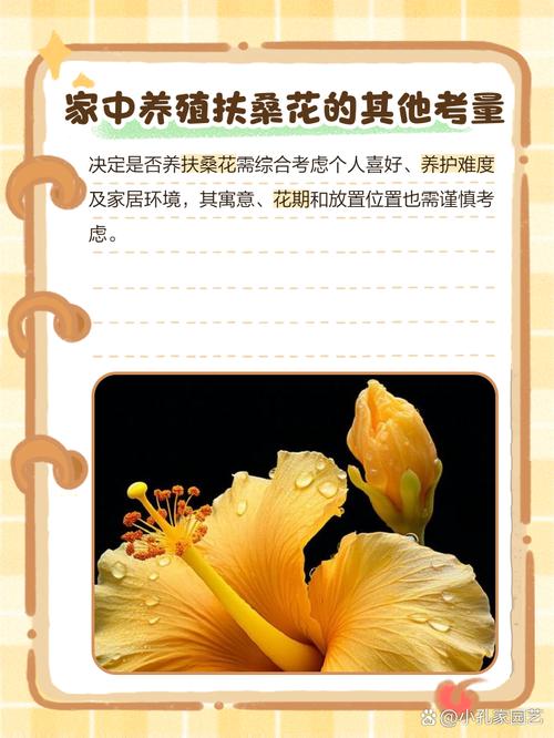 扶桑花有毒吗？扶桑花有毒吗,他的花可以食用吗？-第2张图片-优品飞百科