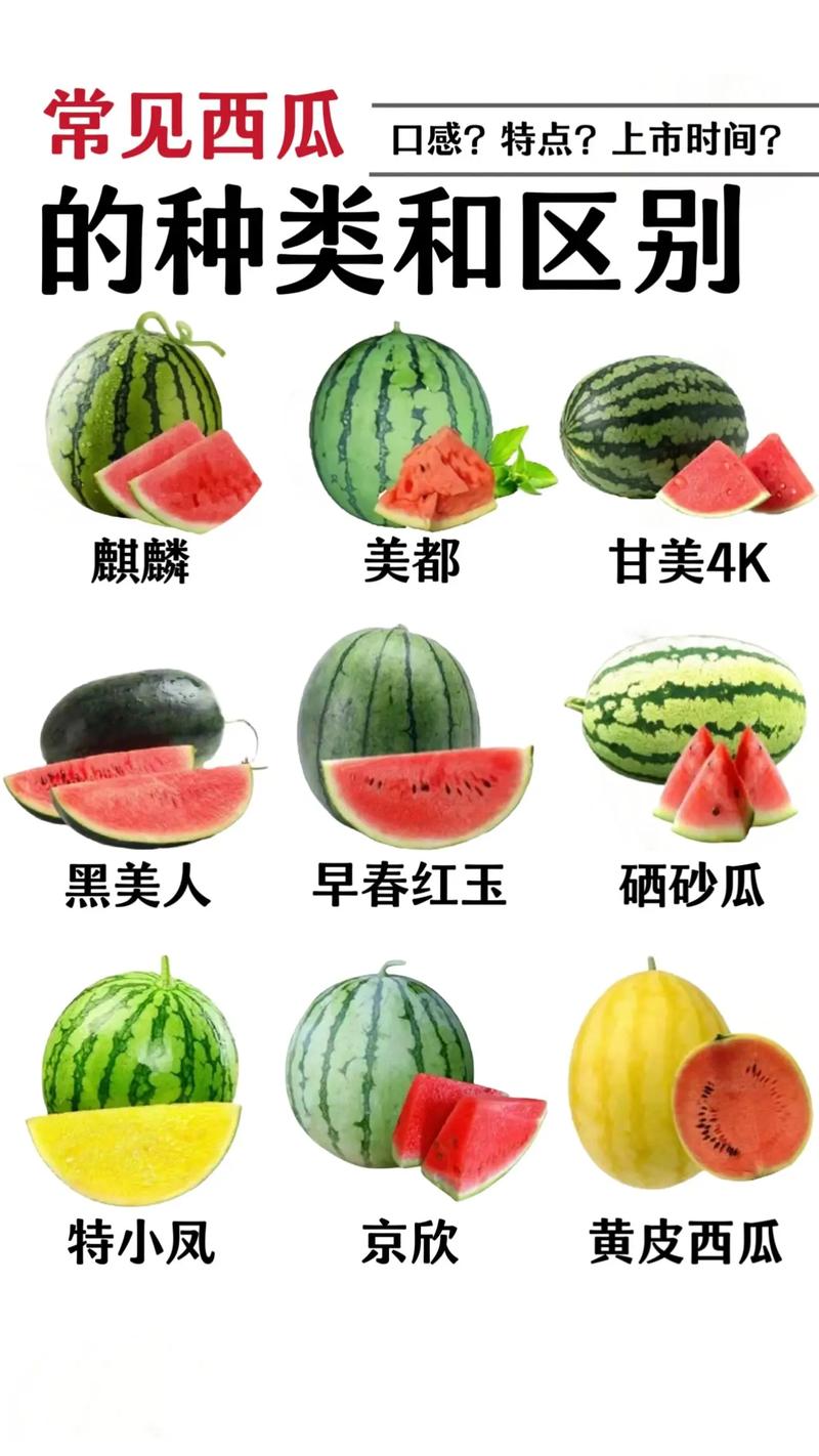 什么的西瓜，西瓜图片，什么的西瓜填颜色词语-第3张图片-优品飞百科