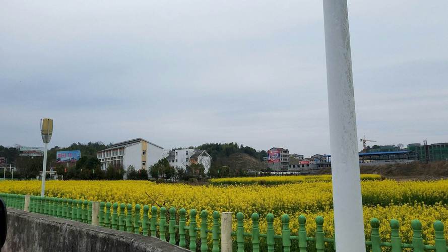 湖北黄冈英山天气预报，湖北黄冈英山天气预报15天-第1张图片-优品飞百科