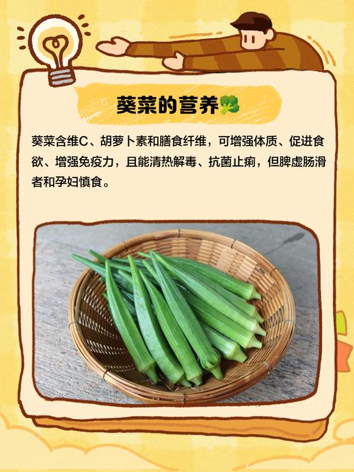 葵菜的主要价值？葵菜的主要价值是什么？-第3张图片-优品飞百科