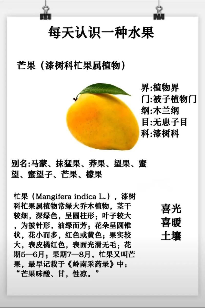 芒果的功效与作用?芒果的功效与作用禁忌?-第5张图片-优品飞百科 芒果的功效与作用?芒果的功效与作用禁忌?-第5张图片-优品飞百科