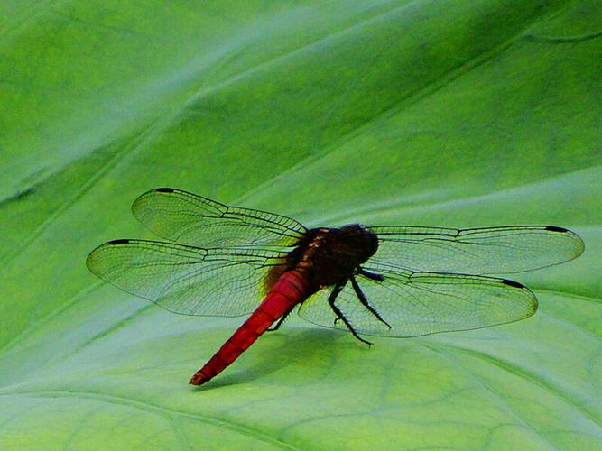 浙江省湖州市天气预报，浙江一周天气预报10天-第4张图片-优品飞百科