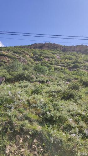 河北宽城天气预报,河北宽城天气预报7天-第1张图片-优品飞百科 河北宽城天气预报,河北宽城天气预报7天-第1张图片-优品飞百科