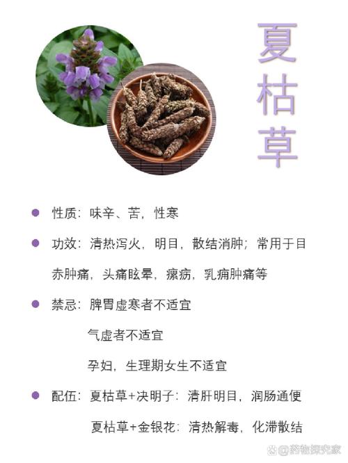 夏枯草的功效与作用，夏枯草的功效与作用能消除结节吗？-第5张图片-优品飞百科