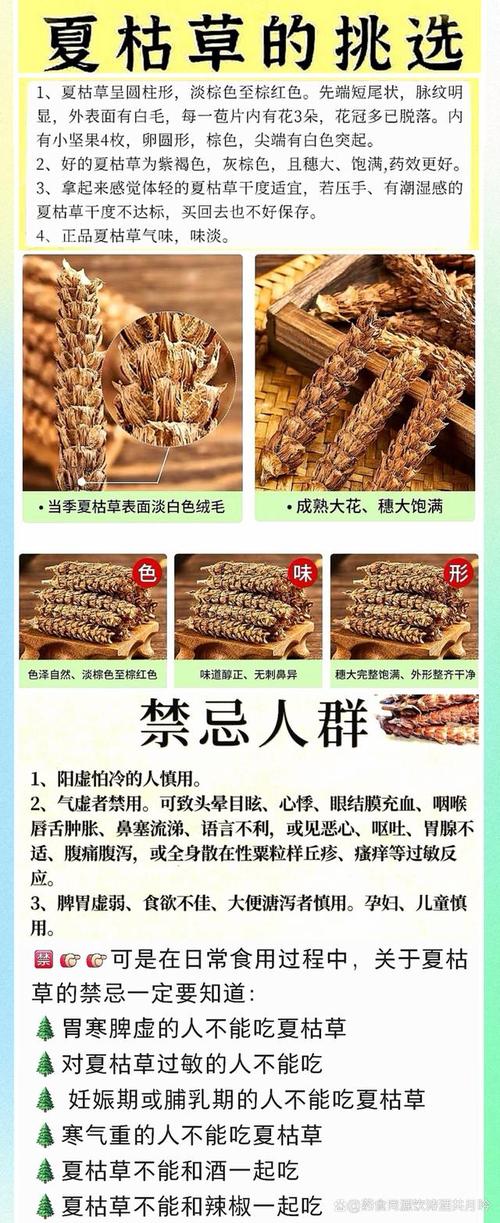 夏枯草的功效与作用，夏枯草的功效与作用能消除结节吗？-第6张图片-优品飞百科