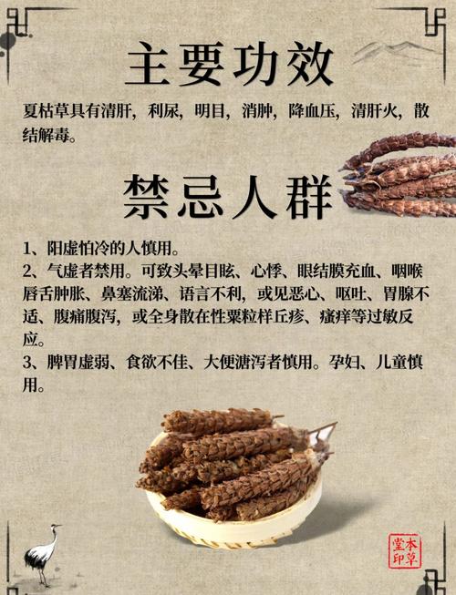夏枯草的功效与作用，夏枯草的功效与作用能消除结节吗？-第7张图片-优品飞百科