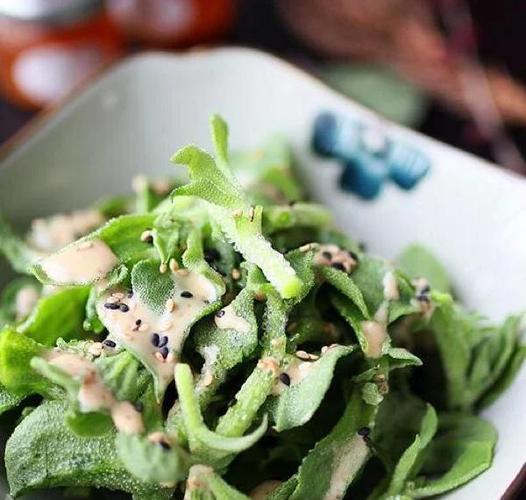 非洲冰草有哪些价值？非洲冰草百度百科？-第1张图片-优品飞百科