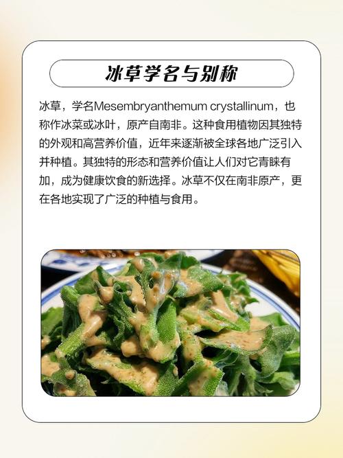 非洲冰草有哪些价值？非洲冰草百度百科？-第4张图片-优品飞百科