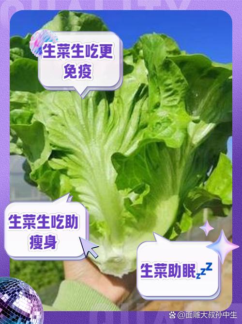 生菜是酸性还是碱性，如何保存时间更长，生菜的酸碱性？