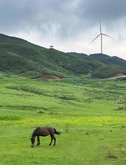 乌蒙大草原天气预报，六盘水乌蒙大草原天气预报？-第6张图片-优品飞百科