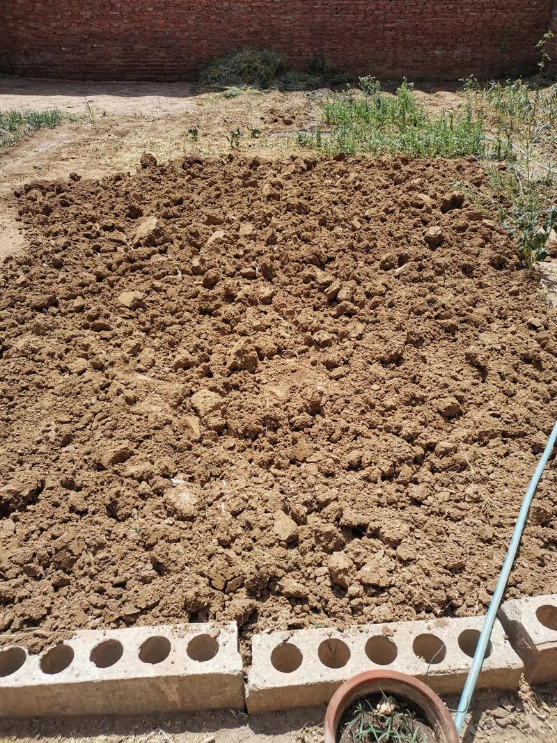 克东县天气预报，齐齐哈尔市克东县天气预报？-第5张图片-优品飞百科