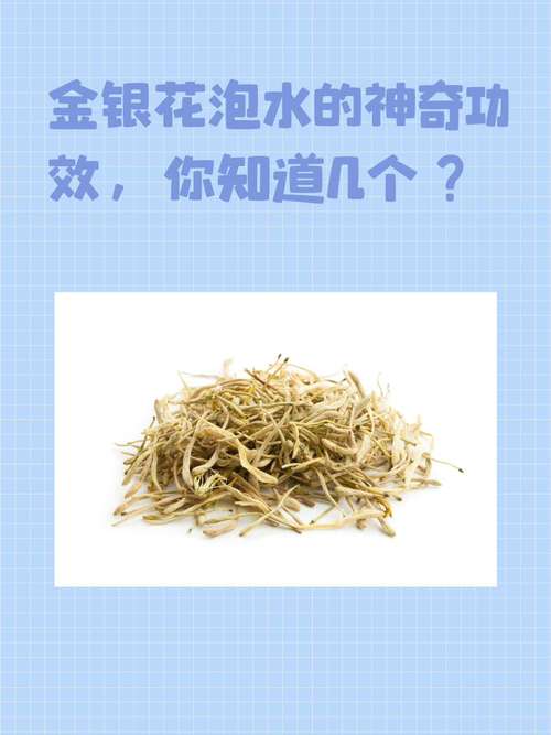 金银花孕妇可以喝吗，孕妇可以喝金银花吗，孕妇能喝金银花么?？-第2张图片-优品飞百科