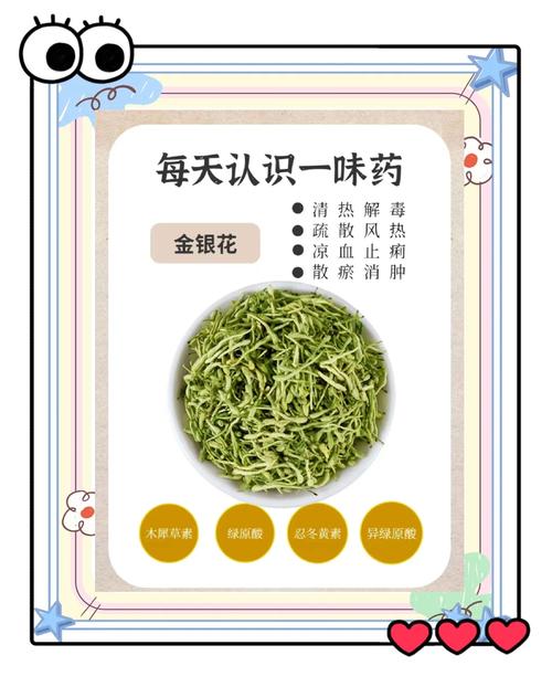 金银花孕妇可以喝吗，孕妇可以喝金银花吗，孕妇能喝金银花么?？-第5张图片-优品飞百科