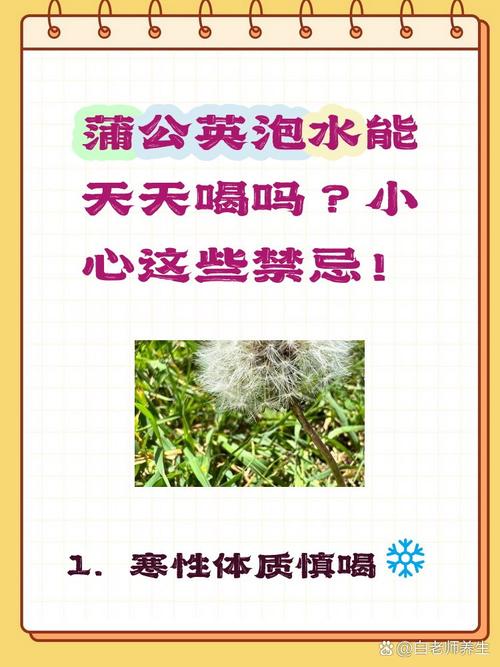 蒲公英泡水喝的禁忌，蒲公英的作用，蒲公英泡水喝的利与弊？-第2张图片-优品飞百科