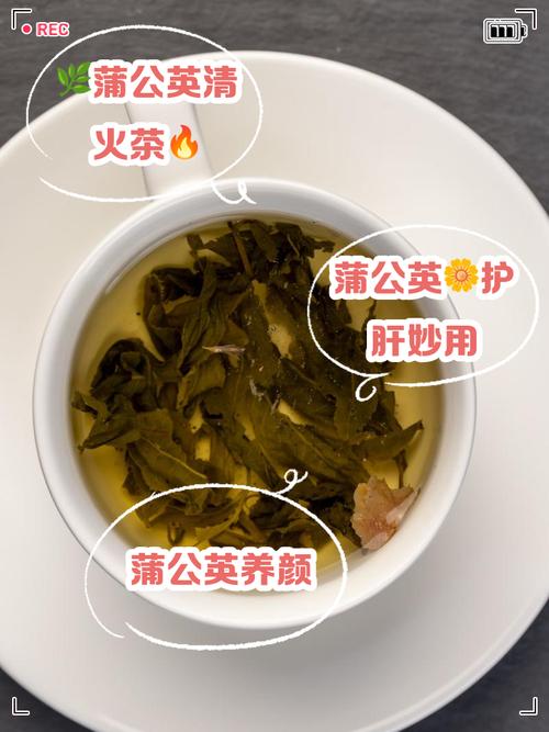 蒲公英泡水喝的禁忌，蒲公英的作用，蒲公英泡水喝的利与弊？-第3张图片-优品飞百科