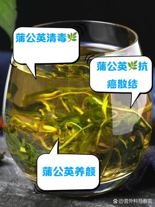 蒲公英泡水喝的禁忌，蒲公英的作用，蒲公英泡水喝的利与弊？-第4张图片-优品飞百科