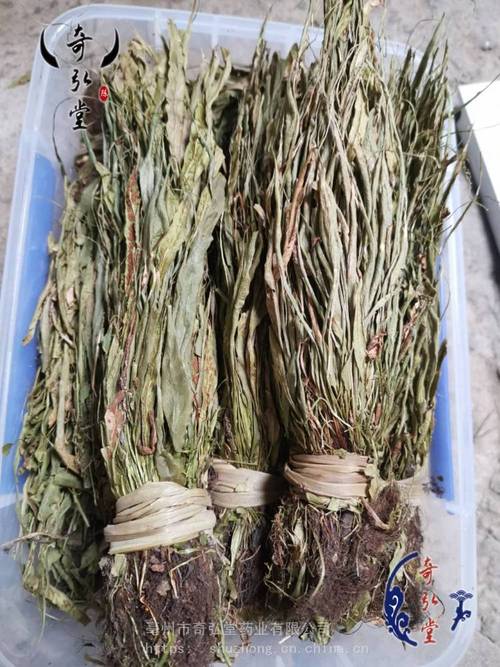 马蹄莲的功效与作用？马蹄莲的功效与作用有哪些？-第4张图片-优品飞百科