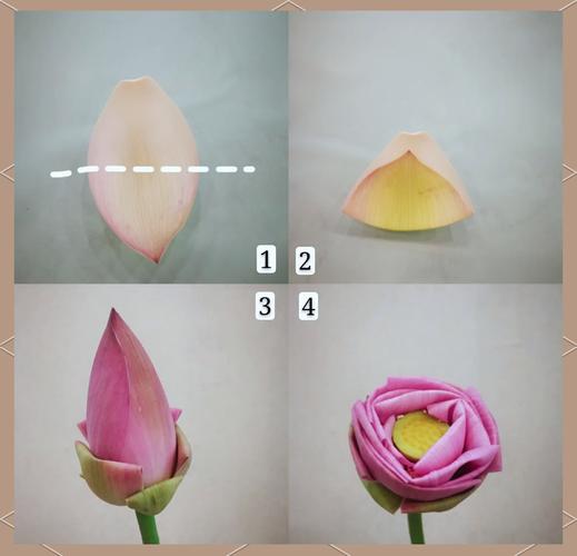 如何制作干花，有什么养护技巧，如何制作干花,有什么养护技巧和方法？-第3张图片-优品飞百科