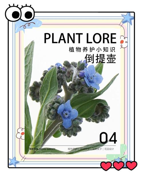 蓝布裙的养殖方法，蓝布裙的功效与作用？-第3张图片-优品飞百科