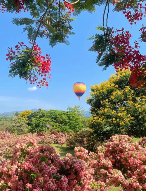 曲靖适合养什么花，市花和市树是什么，曲靖有花市吗？-第2张图片-优品飞百科