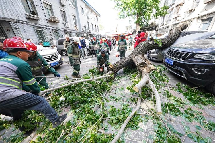 沈阳沈北天气预报，沈阳沈北天气预报15天？-第1张图片-优品飞百科