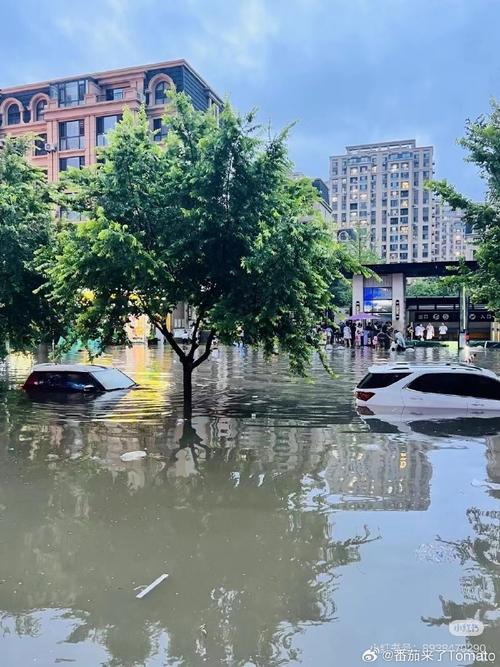 沈阳沈北天气预报，沈阳沈北天气预报15天？-第6张图片-优品飞百科