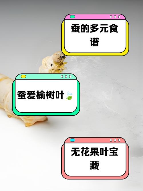 蚕宝宝吃什么，蚕宝宝吃什么叶子？-第3张图片-优品飞百科