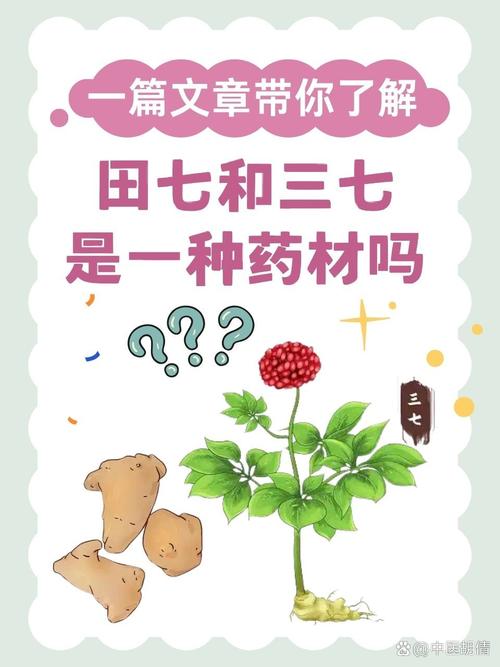 田七和三七有什么区别？小孩长个吃三七最佳时期？-第1张图片-优品飞百科