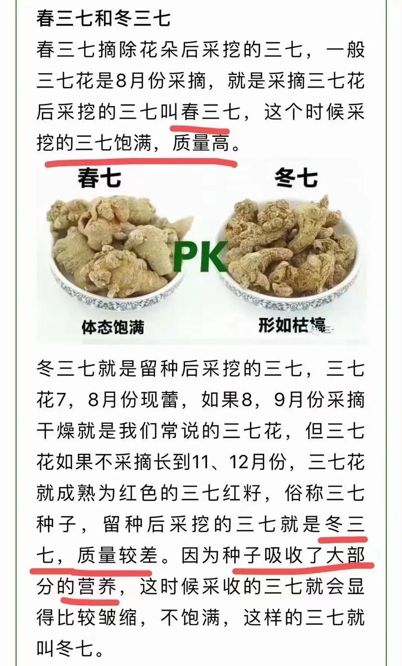 田七和三七有什么区别？小孩长个吃三七最佳时期？-第6张图片-优品飞百科