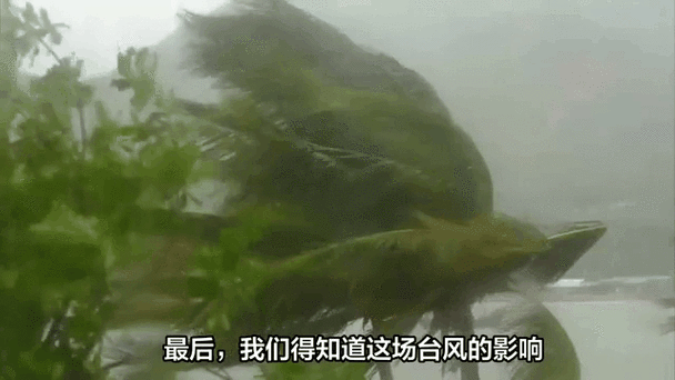 广州天气台风预报，广州天气台风预报15天查询结果-第3张图片-优品飞百科