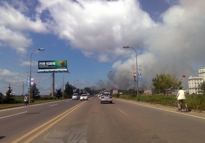 伊春适合养什么花，市花和市树是什么？伊春赏花？-第5张图片-优品飞百科