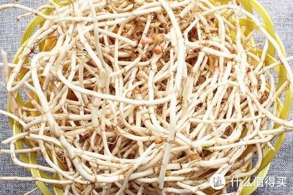 为什么有人不吃鱼腥草，怎么挑选鱼腥草？买鱼腥草怎样挑选?？-第1张图片-优品飞百科