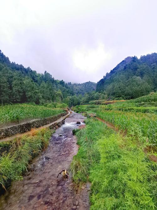 仙居天气预报未来15天，仙居天气预报15天查-第1张图片-优品飞百科