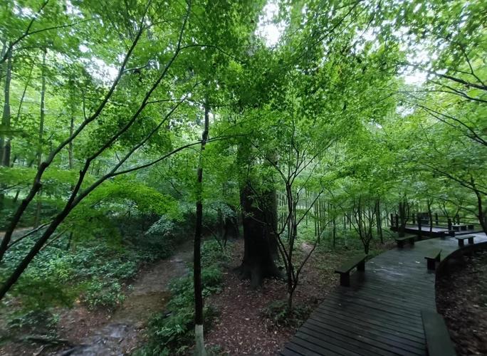 岳阳云溪一周天气预报，岳阳云溪在哪里-第1张图片-优品飞百科