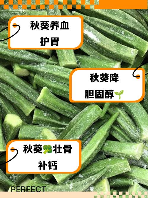 黄葵的养殖方法和注意事项?黄葵的养殖方法和注意事项视频?-第2张图片-优品飞百科 黄葵的养殖方法和注意事项?黄葵的养殖方法和注意事项视频?-第2张图片-优品飞百科